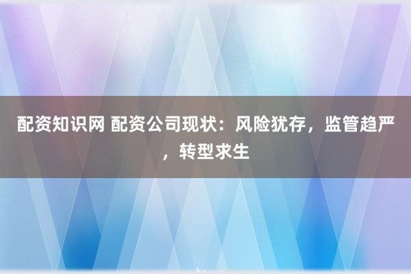 配资知识网 配资公司现状：风险犹存，监管趋严，转型求生