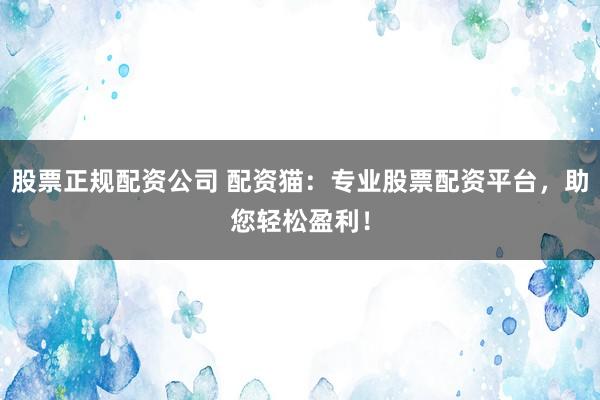 股票正规配资公司 配资猫:专业股票配资平台,助您轻松盈利!