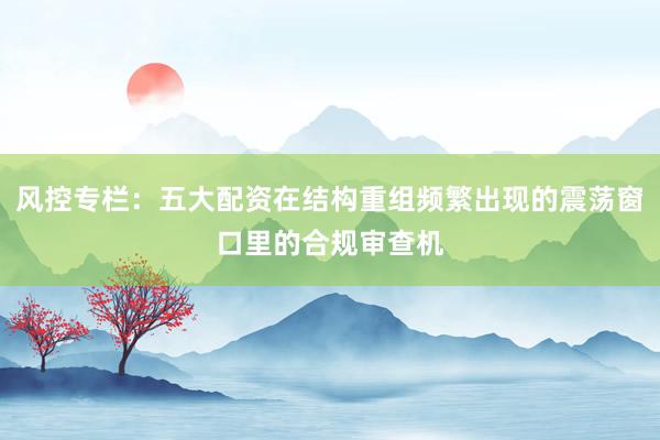 风控专栏：五大配资在结构重组频繁出现的震荡窗口里的合规审查机