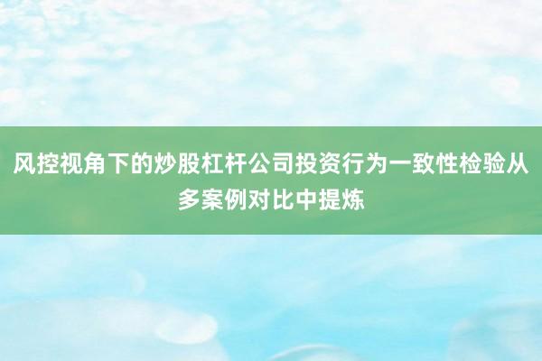 风控视角下的炒股杠杆公司投资行为一致性检验从多案例对比中提炼