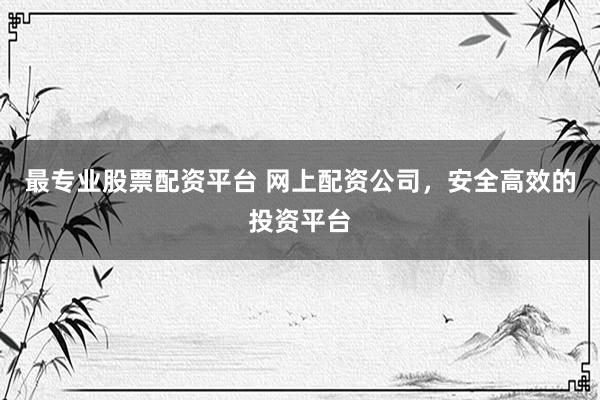 最专业股票配资平台 网上配资公司，安全高效的投资平台