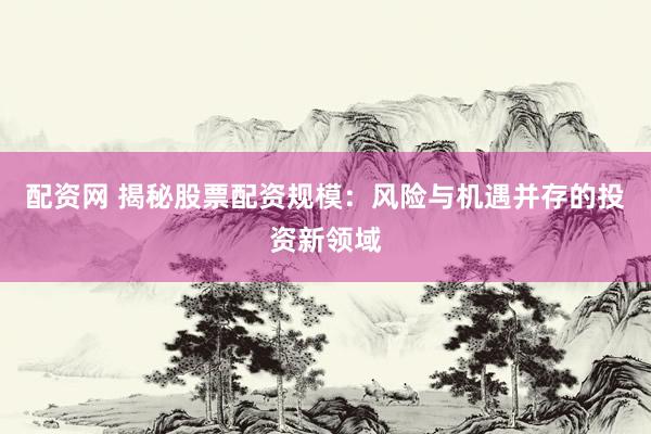 配资网 揭秘股票配资规模：风险与机遇并存的投资新领域