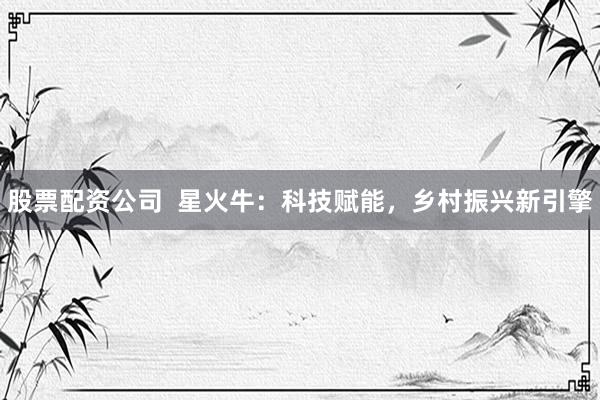 股票配资公司 星火牛:科技赋能,乡村振兴新引擎