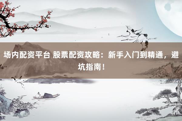 场内配资平台 股票配资攻略：新手入门到精通，避坑指南！